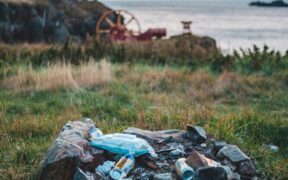 Why guessing with antibiotics can be harmful