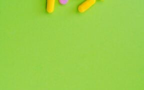 Delayed adverse effects of parasite medication in pets